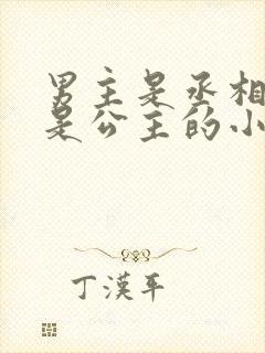 男主是丞相女主是公主的小说