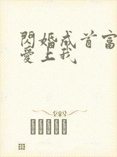 闪婚成首富大佬爱上我