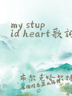 my stupid heart歌词中文翻译