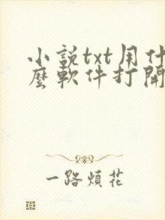 小说txt用什么软件打开比较好