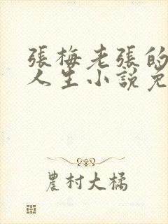 张梅老张的风流人生小说免费阅读