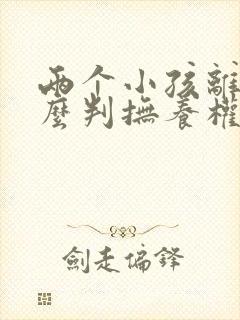 两个小孩离婚怎么判抚养权