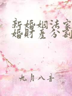 新婚姻法家暴离婚财产分割