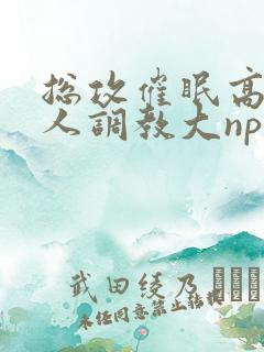 总攻催眠高冷美人调教大np