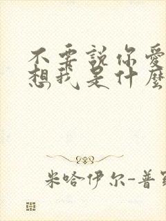 不要说你爱我你想我是什么歌