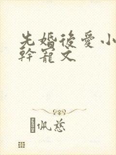 先婚后爱小说高干宠文