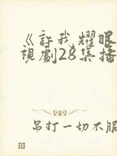 《许我耀眼》电视剧28集播放