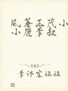 风华正茂小说赵小鹿李叔