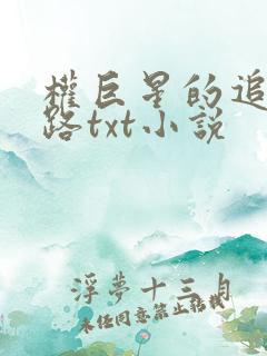 权巨星的追妻之路txt小说