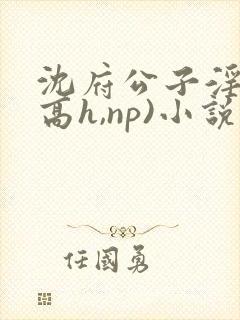 沈府公子淫史(高h,np)小说