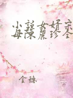 小说女婿宋阳岳母陈丽珍全文阅读