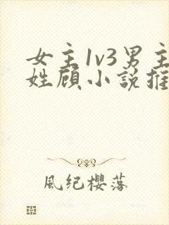 女主1v3男主姓顾小说推荐