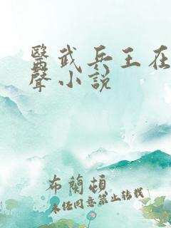 医武兵王在线有声小说