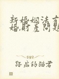 新婚姻法有关离婚,财产问题