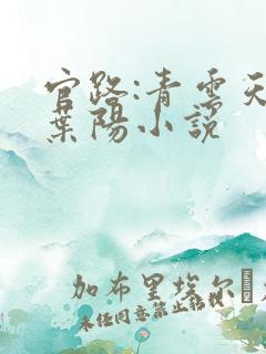 官路:青云天骄叶阳小说