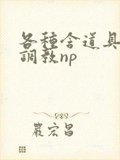 各种含道具高h调教np