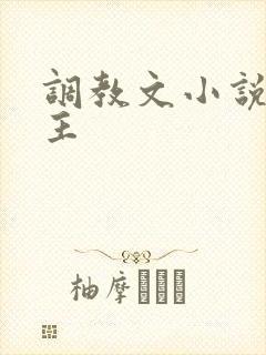 调教文小说双男主