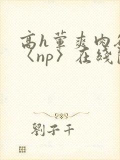 高h荤爽肉欲文〈np〉在线阅读