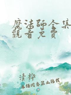 魔法师全集免费观看免费