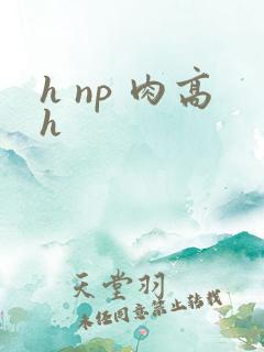 h np 肉高h