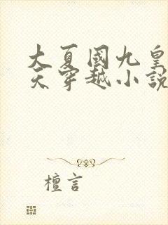 大夏国九皇子夏天穿越小说