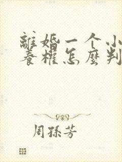 离婚一个小孩抚养权怎么判