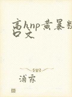 高hnp黄暴粗口文