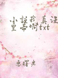 小说我真没想当皇帝啊txt