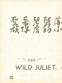 圣采儿堕落被魔族俘虏的小说