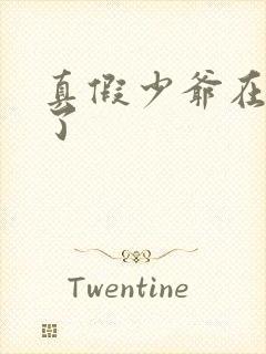 真假少爷在一起了