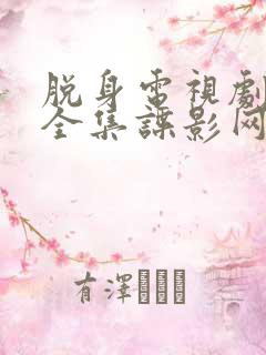 脱身电视剧免费全集谍影网