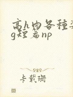 高h肉各种姿势g短篇np