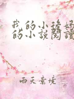 我的小后妈免费的小说阅读