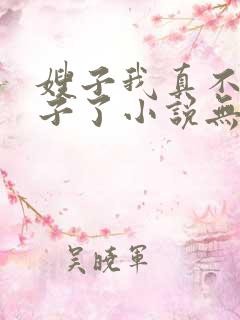 嫂子我真不是傻子了小说无删减正版在线阅读