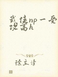 武侠np一受多攻高h