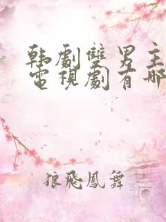 韩剧双男主腐剧电视剧有哪些好看的