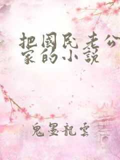 把国民老公带回家的小说