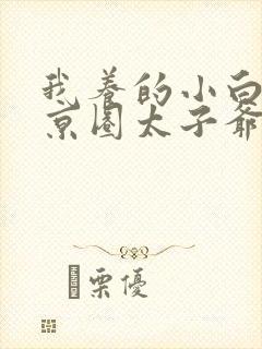 我养的小白脸是京圈太子爷全集