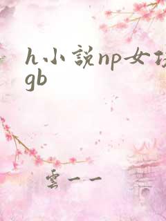 h小说np女攻gb