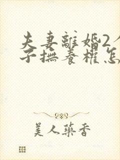 夫妻离婚2个孩子抚养权怎么判定