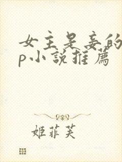 女主是妾的无cp小说推荐