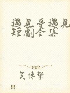 遇见爱遇见幸福短剧全集