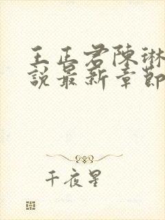 王正君陈琳洁小说最新章节更新时间