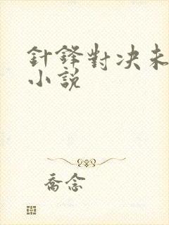 针锋对决未删减小说