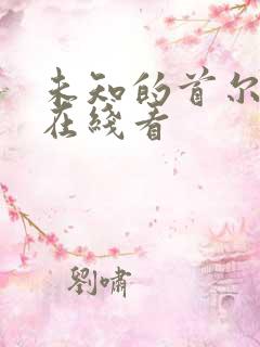 未知的首尔全集在线看