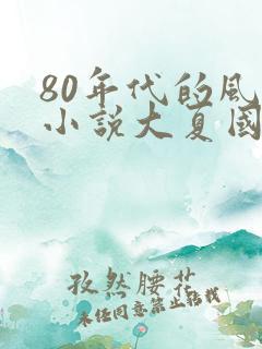 80年代的风的小说大夏国九皇子在线阅读