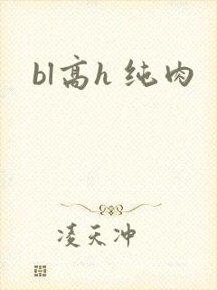 bl高h 纯肉