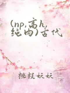 (np,高h,纯肉)古代