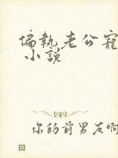 偏执老公宠上瘾 小说