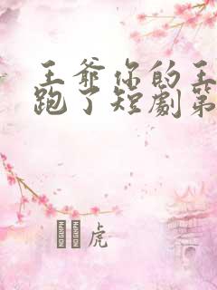 王爷你的王妃又跑了短剧第二季
